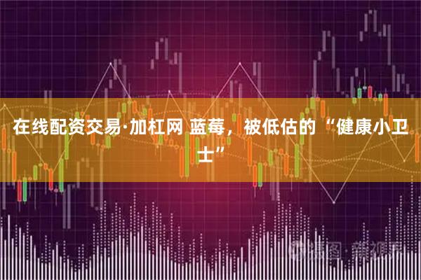 在线配资交易·加杠网 蓝莓，被低估的 “健康小卫士”